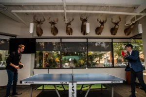 464791994 1112943744166880 2164140301154195568 N