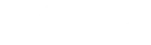 Nai Global Logo White